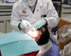 Michael Conroy / The Associated Press Files
                                More than 49,000 families in the province with children under 12 could be getting their kids&rsquo; free checkups and fillings according to the Manitoba Dental Association.
