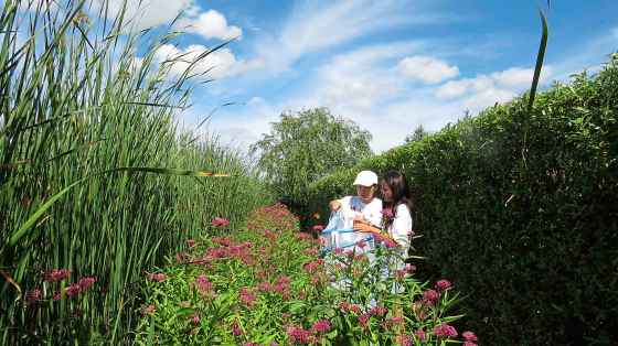 Yan and Eve Cong release a butterfly in their milkweed garden. (Colleen Zacharias)