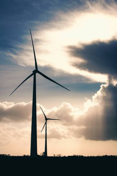 Shotrotter / Pexels
                                Going green.