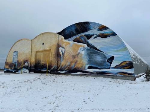 Clive Jackson / For the Free Press
                                The polar-bear holding facility in Churchill temporarily houses bears found scavenging close to or in the northern Manitoba town.