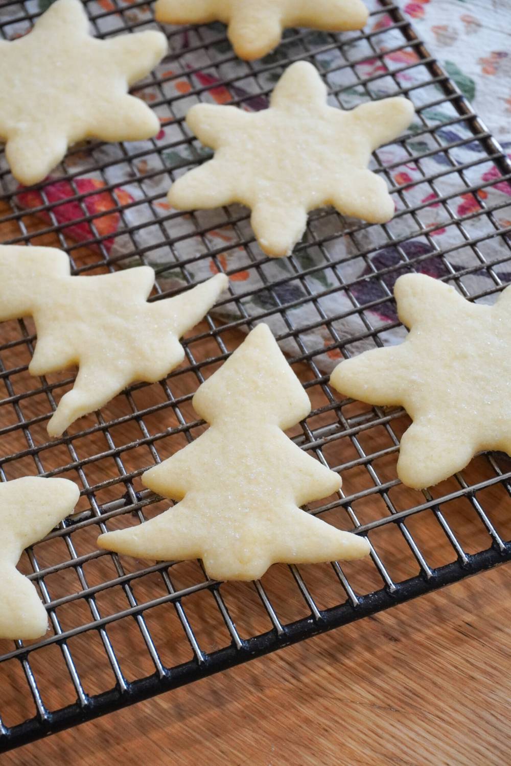 EVA WASNEY PHOTO
These sweet, simple sugar cookies are a family holiday tradition for Anne Thoroughgood.