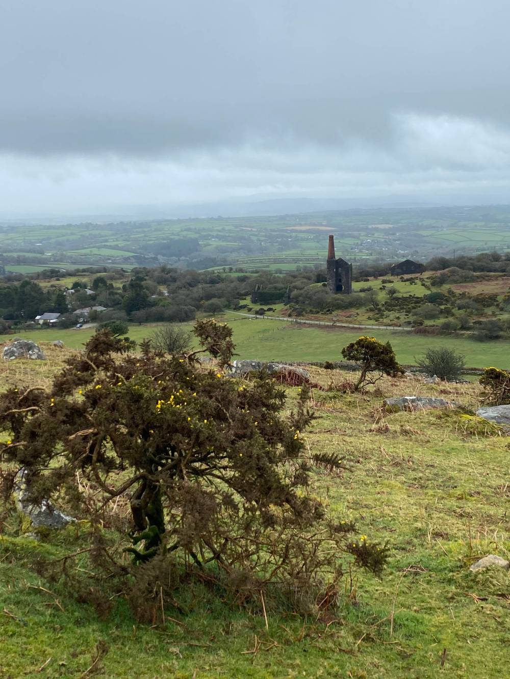 JAY WHETTER / FREE PRESS
Ever present gorse surrounds an old tin mine on Bodmin Moor in Cornwall.