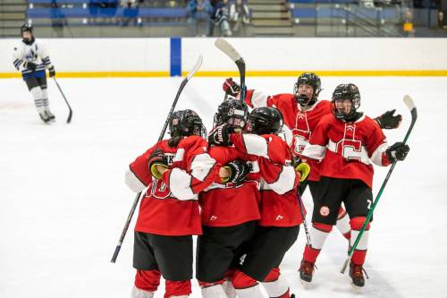 BROOK JONES/FREE PRESS
                                The Glenlawn Lions celebrate their team’s win.
