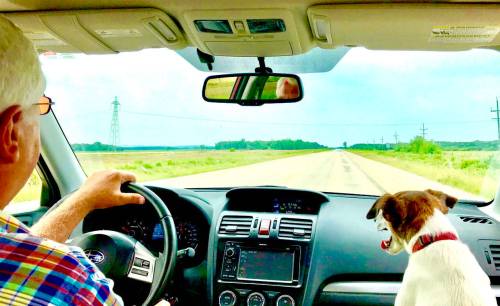 Margaret Mackintosh / Free Press
                                Gord Mackintosh and his trusted co-pilot Pirate cruise along a calm stretch of Highway 2 in southwestern Manitoba.