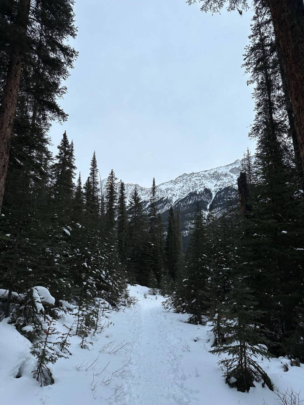 Katrina Clarke / Free Press
There are many trails to choose from on Jasper Park Lodge’s 700-acre property.