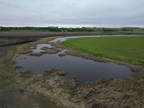 TIM SMITH / BRANDON SUN
                                Farm land along Grand Valley Road in the Assiniboine River valley, west of Brandon.