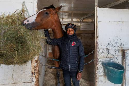 MIKE DEAL / FREE PRESS
                                Jockey Damario Bynoe was the leading rider this week at Assiniboia Downs, winning five races. He’s set to ride JJ’s American Diva (left) in a Monday race.