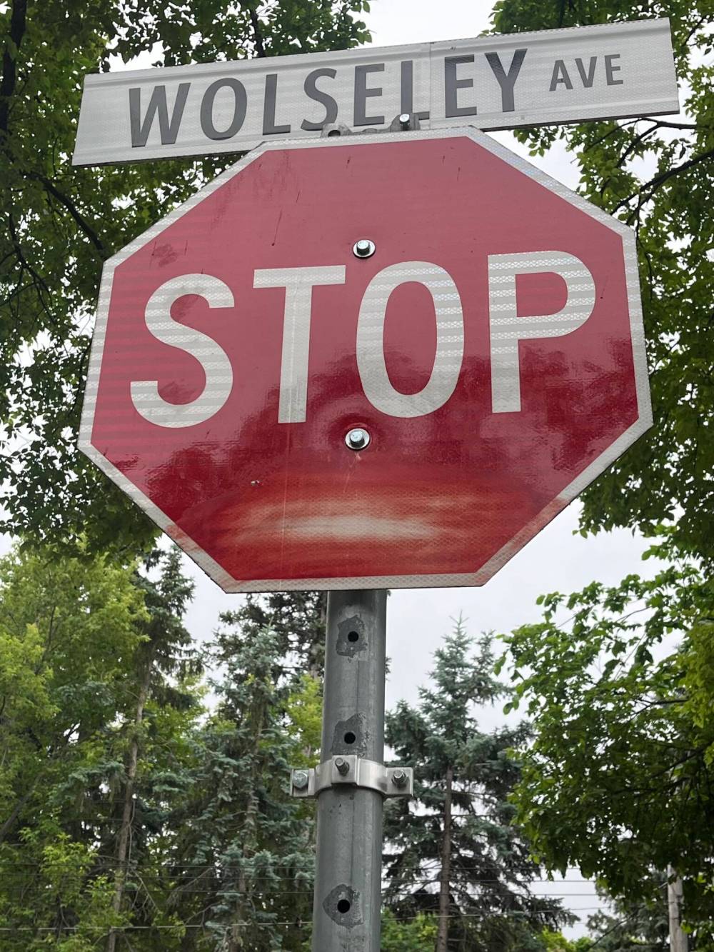 Russell Wangersky / Free Press
A street sign for Wolseley Avenue