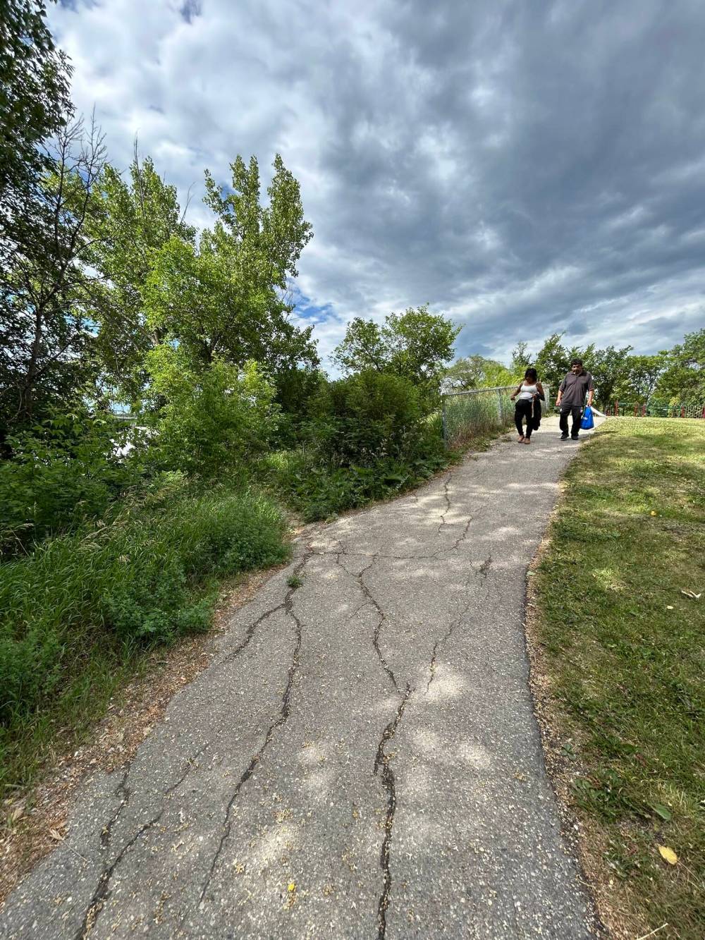 TYLER SEARLE / FREE PRESS
A foot trail (left) branching off of a paved walking path in the centre of St. John’s Park.