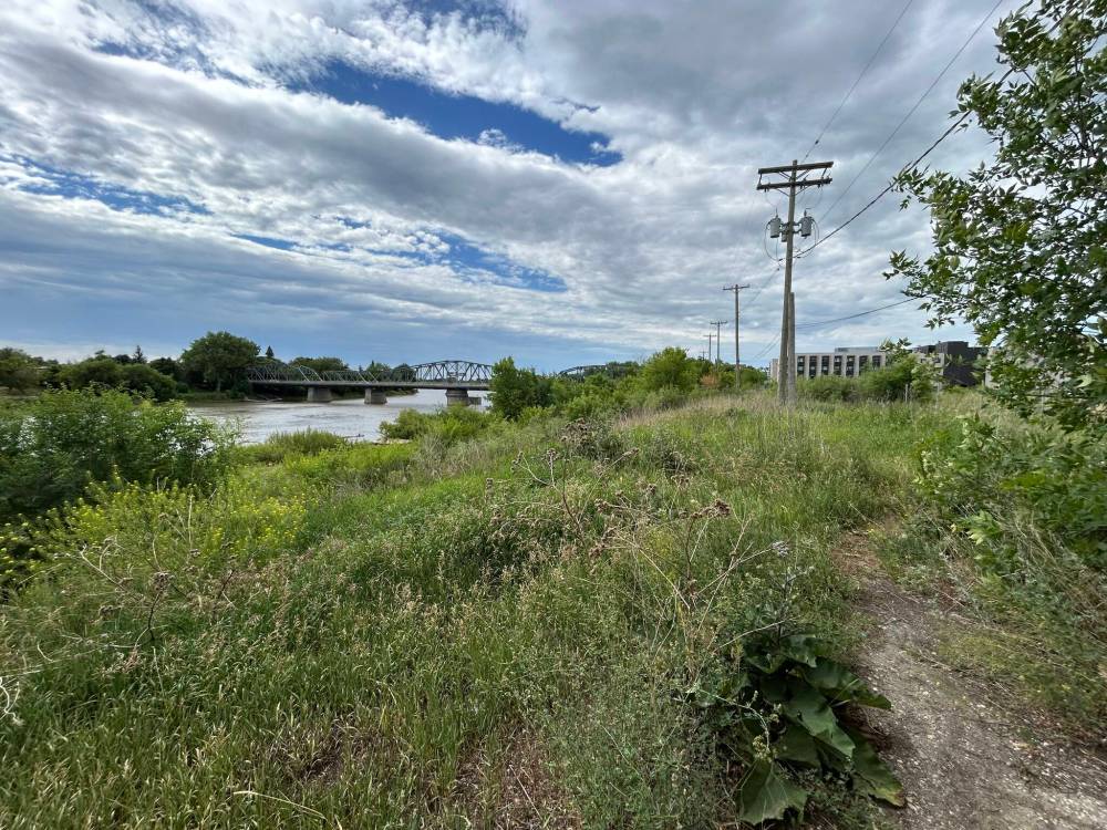 TYLER SEARLE / FREE PRESS
The riverbank area and the network of informal trails beyond the southern boundary of St. John’s Park, toward the Redwood Bridge.