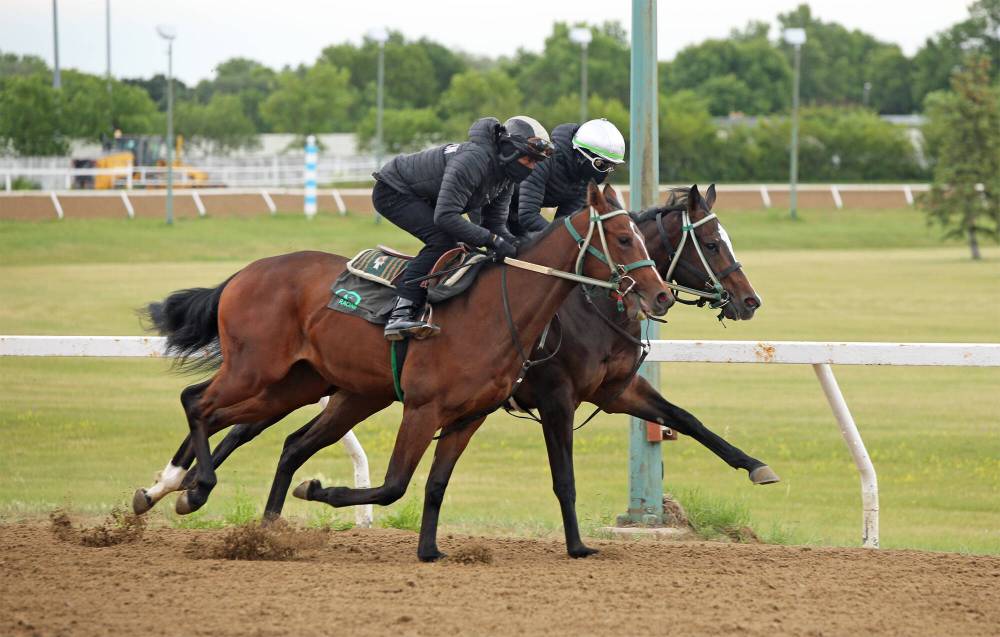 George Williams / Free Press
Jockeys Antonio Whitehall (right) and Damrio Bynoe work a pair of two-year-olds for trainer Mike Nault at the Downs on Friday morning.