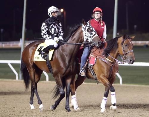 Jason Halstead / Assiniboia Photo
                                N’Rico Prescod (left) rode Attack to victory in a very eventful Manitoba Derby on Monday at Assiniboia Downs.