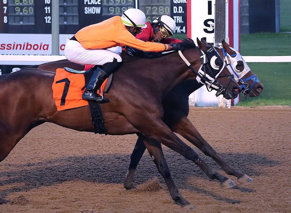 Jason Halstead / Assiniboia Photo
Designated Hitter and jockey Javaniel Patterson (inside) hold off Totalizer and jockey Rachaad Knights to win the third race Wednesday at ASD.