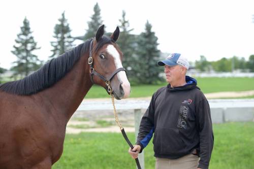 George Williams photo 
                                Breeder Cam Ziprick with Hip #32 for Sunday’s Manitoba Yearling Sale, a bay gelding by Speculating out of multiple champion mare and Manitoba Horse of the Year Hidden Grace.