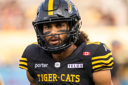 Nick Iwanyshyn / THE CANADIAN PRESS FILES
                                Tiger-Cats receiver Kenny Lawler is thriving with Hamilton, posting career-highs in receiving yards (1,047) and touchdowns (10) through 12 games.