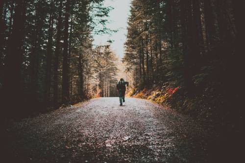 Chris G. / Pexels
                                There’s a distinct ‘back to the grind’ vibe in September. Perhaps it can be more of a transition month.