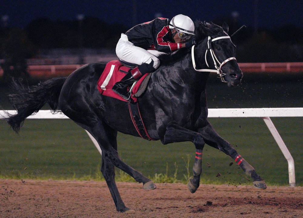 DANIELLE LANGLOIS PHOTO / ASSINIBOIA DOWNS
Burrow Down won the Manitoba Matron for a third straight year Tuesday at the Assiniboia Downs, while jockey Damario Bynoe scored a hat trick on Monday, Tuesday and Wednesday this week.