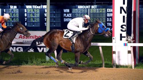 Jason Halstead / Assiniboia Photo
                                Longshot Little Eddie wins the sixth race Wednesday night with Sven Balroop in the saddle.