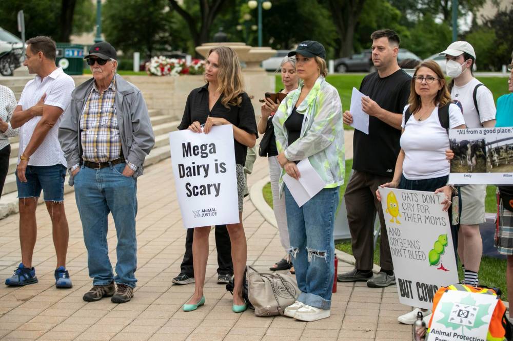BROOK JONES / FREE PRESS
A rally was held at the legislature to oppose two proposed industrial dairy farms in North Dakota near the Red River.
