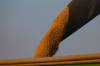 MICHAEL CONROY / THE ASSOCIATED PRESS FILES
                                Soybeans are harvested last month in Warren, Ind. China has yet to purchase any of the U.S. soybean crop this season.