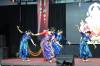 SUPPLIED
                                The Diwali celebration’s cultural show featured a variety of folk and contemporary dances.