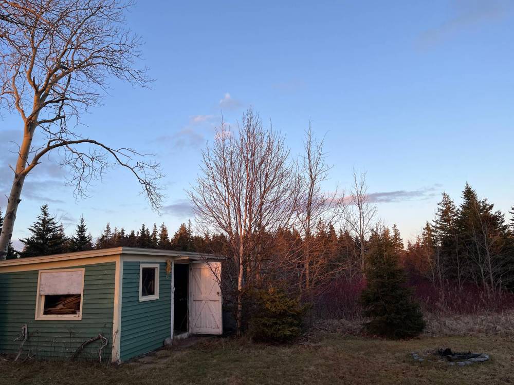 Russell Wangersky/Free Press
                                The woodshed of simple peace.