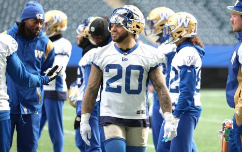 Ruth Bonneville / FREE PRESS
                                The Winnipeg Blue Bombers are anything but the average underdog in this year’s playoffs, with five straight Grey Cup appearances under their belt.