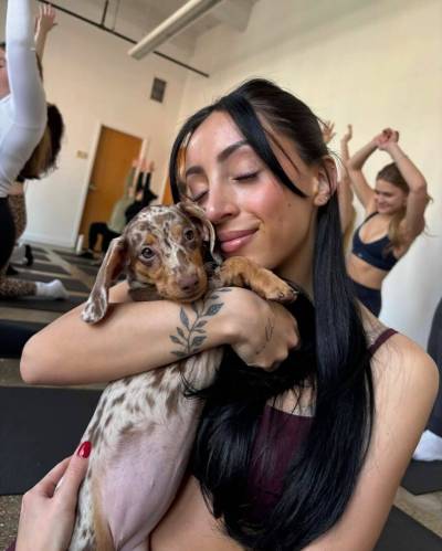 SUPPLIED
                                Puppy Sphere offers yoga classes led by certified instructors while puppies roam the studio and interact with participants.