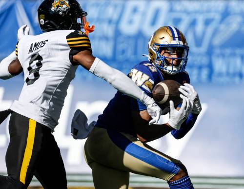JOHN WOODS / CANADIAN PRESS FILES
                                Blue Bombers receiver Dillon Mitchell catches a touchdown pass against the Hamilton Tiger-Cats at Princess Auto Stadium on Sept. 27.