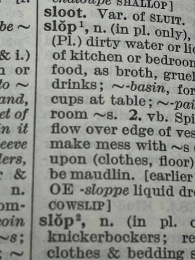 FILE
                                Slop has been named the word of the year.