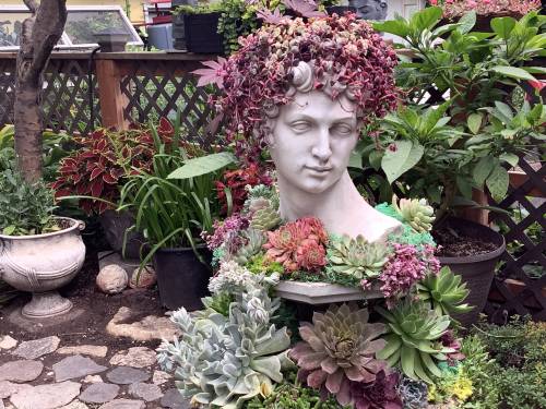 Gwen Beam photo
                                Trailing Calico Kitten Crassula forms the &lsquo;hair&rsquo; on this stunning sculptural stone planter decorated with tender succulents which must be overwintered indoors.