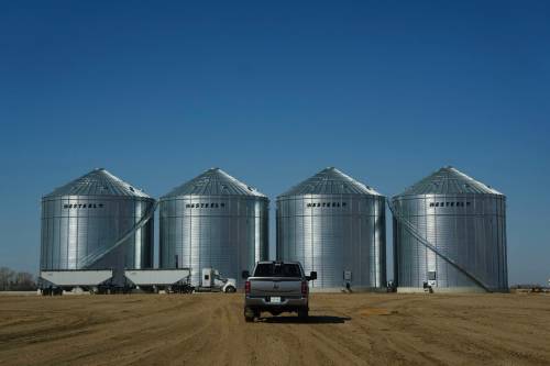 Chris Young / THE CANADIAN PRESS files
                                China is Canada&rsquo;s second-largest market for grains and oilseeds, worth about $4 billion annually for canola alone.