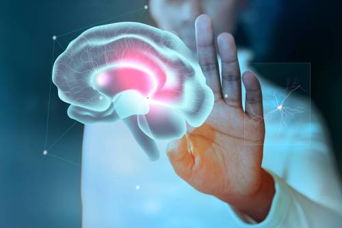 Freepik
                                To prevent cognitive decline, experts recommend sleep, movement and a healthy diet.