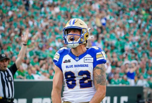 Heywood Yu / The Canadian Press Files
                                Drew Wolitarsky was released by the Winnipeg Blue Bombers after seven seasons with the team.
