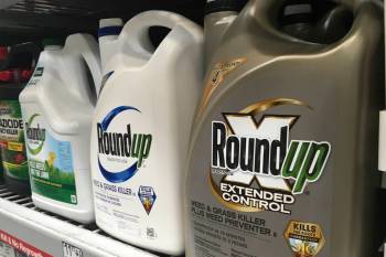 Just as Bayer rolled out a new plan to settle once and for all thousands of lawsuits claiming the active ingredient in Roundup causes cancer, U.S. President Donald Trump was declaring the product critical to the nation&rsquo;s food security. (Haven Daley / The Associated Press files)