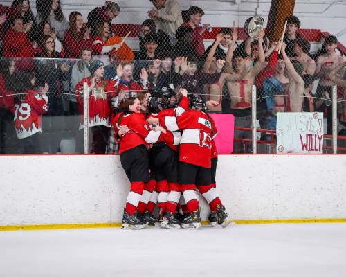 DAVE WILLSON PHOTO
                                The Glenlawn Lions girls&rsquo; hockey team celebrates its 5-1 Game 2 win over the Vincent Massey Trojans Thursday to claim the MWHSHL Division 1 title.