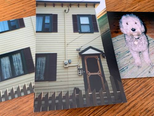 Pam Frampton photo
                                The house in St. John&rsquo;s that columnist Pam Frampton shared with her very good dog, Willie.
