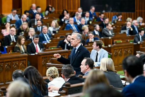 Spencer Colby / The Canadian Press Files
                                Prime Minister Mark Carney rises during question period in the House of Commons on Parliament Hill in Ottawa on March 10.