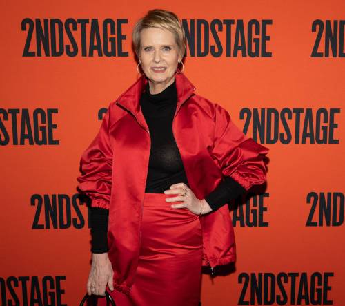 CJ Rivera / Invision Files
                                And Just Like That… star Cynthia Nixon turns 60 today.
