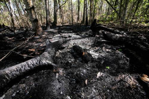 The edge of a property near property Lac du Bonnet that was damaged by fires in 20205. (Mikaela MacKenzie / Free Press files)
