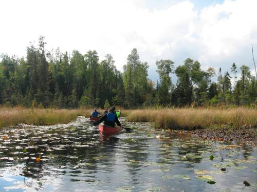 Giovanna Dell&rsquo;Orto / The Associated Press Files
                                Two canoes paddle along a lily pad-lined bog in Minnesota&rsquo;s Boundary Waters Canoe Area Wilderness. The area protects more than 1,200 miles of canoe trails over lakes and rivers fringed by pine forests. U.S. President Donald Trump&rsquo;s administration has reopened the process that could allow a giant copper mine near the Boundary Waters Canoe Area.