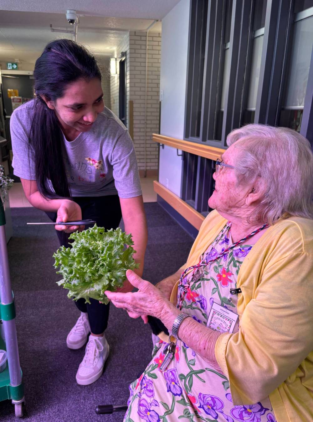 JOHN LONGHURST PHOTO
                                Community enrichment coordinator Minoli Maharage hands lettuce to Donwood tenant Adina Goertzen.