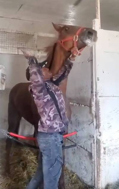 A still from the 2023 video shows a jockey grabbing a mare by the throat.