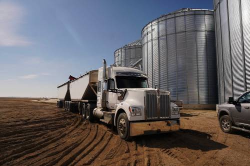 CHRIS YOUNG / THE CANADIAN PRESS FILES
                                Canadian farm crop insurance programs have a participation rate of 75 per cent or higher.
