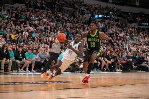 BROOK JONES / FREE PRESS
                                Winnipeg Sea Bears guard Nathan Bilamu (left) drives against Niagara River Lions forward Nathan Cayo.
