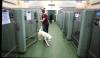 RUTH BONNEVILLE / FREE PRESS FILES
                                City council is expected to vote later this month on bringing Animal Services under the umbrella of the community services department.