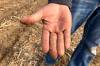 Need for farm innovation never greater