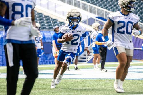 MIKAELA MACKENZIE / FREE PRESS
                                Winnipeg Blue Bombers receiver Tim White (12) was released by the Hamilton Tiger-Cats this winter after four consecutive 1,000-yard seasons.