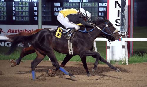 Jason Halstead photo
                                After taking a spill in the fifth race Wednesday night at Assiniboia Downs, jockey Ciera Pruitt came back for her second win of the night in the sixth, this time riding her mother Lise Pruitt&rsquo;s horse, Bromeo.