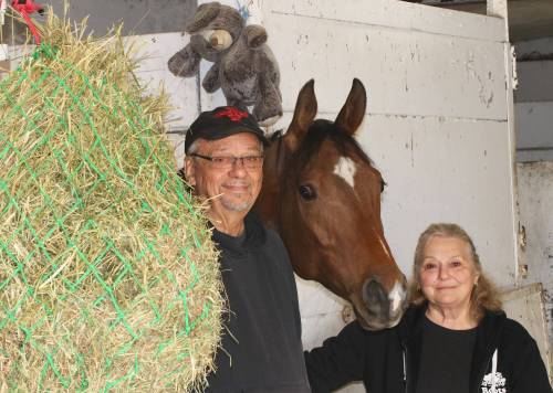 GEORGE WILLIAMS PHOTO
                                Trainer Brian Phillips and his wife Janis with their recent longshot winner Nu Soup for Baby.